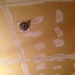 soigneur_building_ceiling_painting3