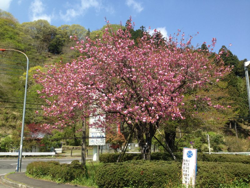 風が強い