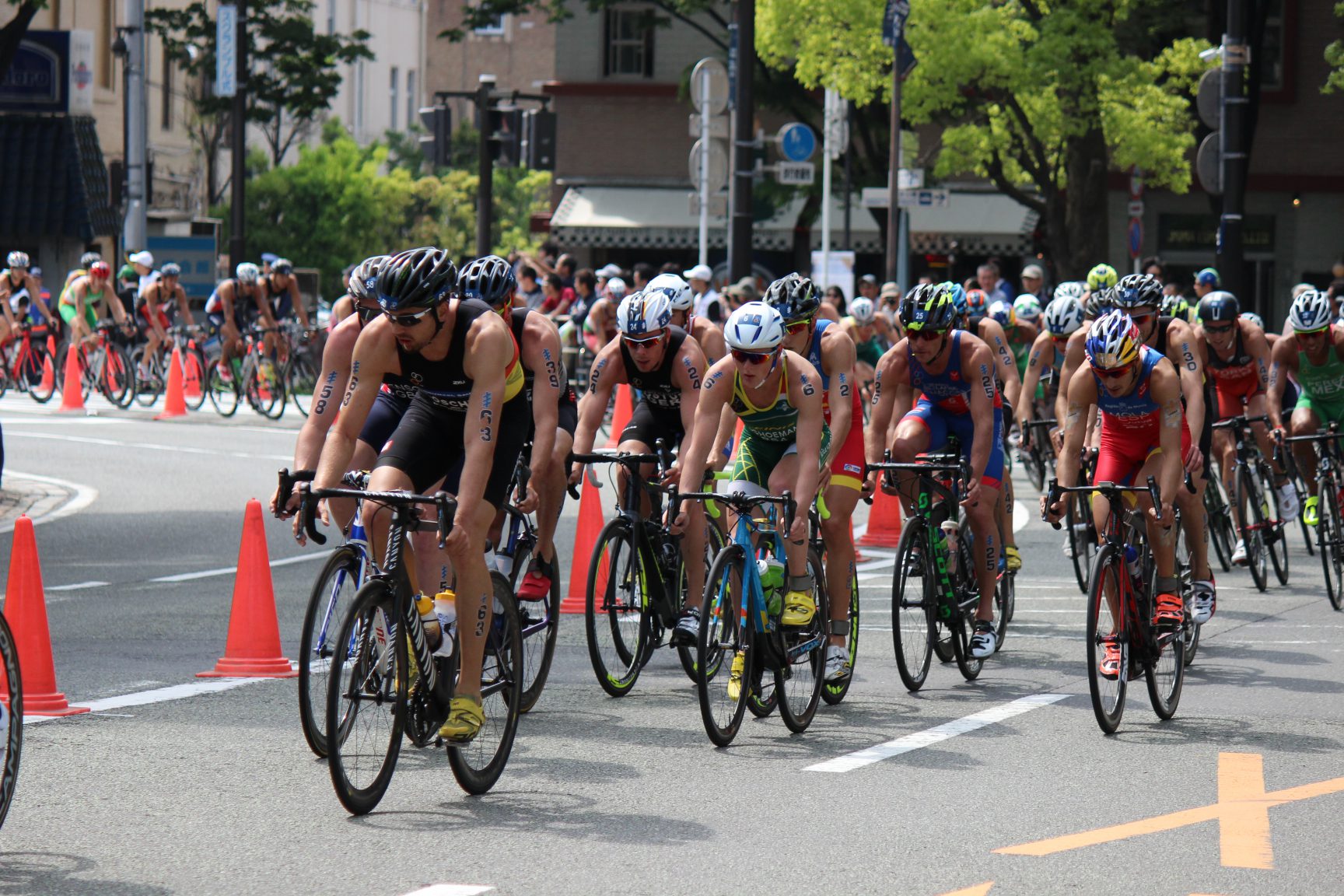 ＜結果＞World Triathlon Series 横浜大会2016